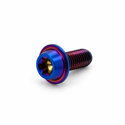 Blauw en paars afgewerkte titanium Torx bout met washer